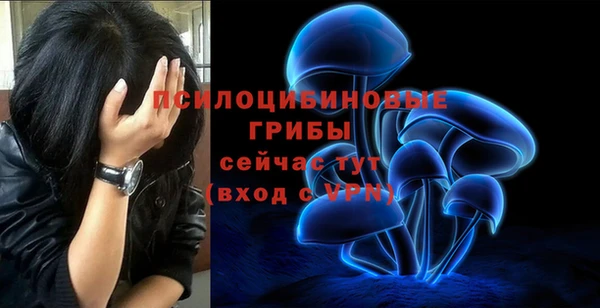 2c-b Бикин